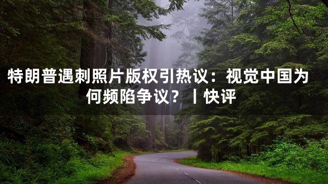 特朗普遇刺照片版权引热议：视觉中国为何频陷争议？丨快评