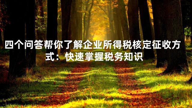 四个问答帮你了解企业所得税核定征收方式：快速掌握税务知识