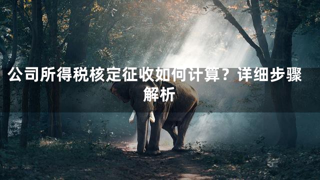公司所得税核定征收如何计算？详细步骤解析