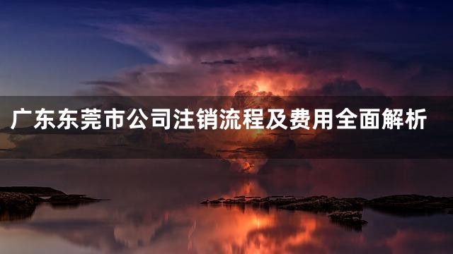 广东东莞市公司注销流程及费用全面解析