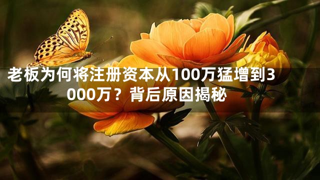 老板为何将注册资本从100万猛增到3000万？背后原因揭秘