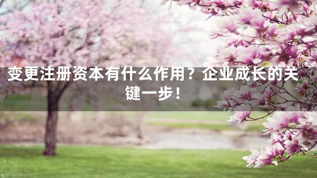 变更注册资本有什么作用？企业成长的关键一步！