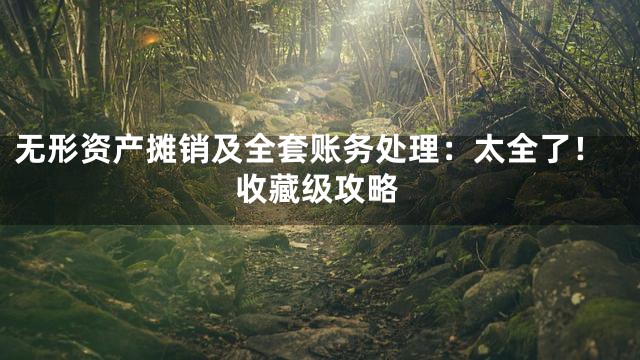 无形资产摊销及全套账务处理：太全了！收藏级攻略