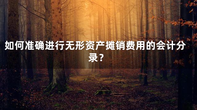 如何准确进行无形资产摊销费用的会计分录？