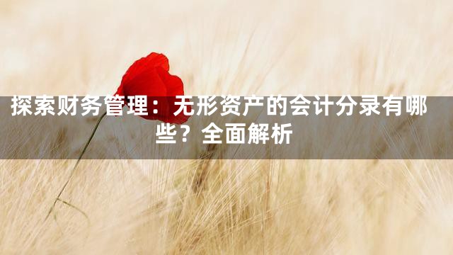 探索财务管理：无形资产的会计分录有哪些？全面解析