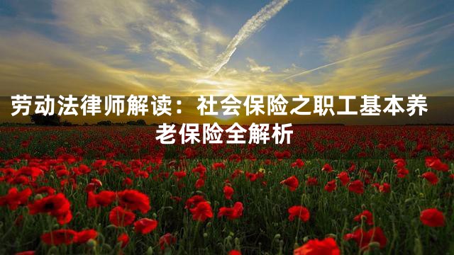 劳动法律师解读：社会保险之职工基本养老保险全解析