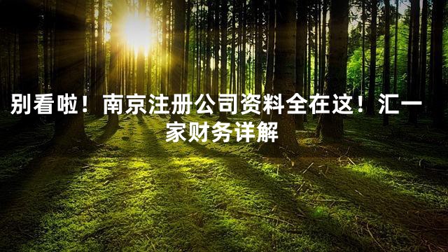 别看啦！南京注册公司资料全在这！汇一家财务详解