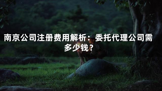 南京公司注册费用解析：委托代理公司需多少钱？