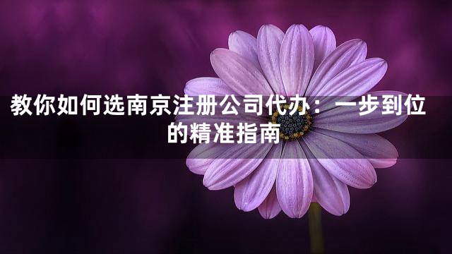 教你如何选南京注册公司代办：一步到位的精准指南