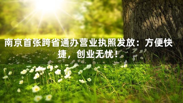 南京首张跨省通办营业执照发放：方便快捷，创业无忧！