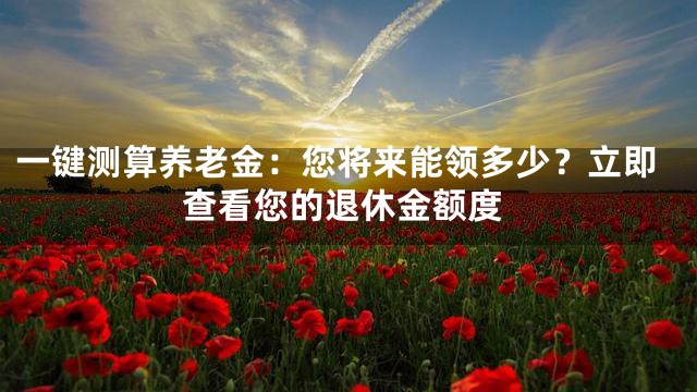 一键测算养老金：您将来能领多少？立即查看您的退休金额度