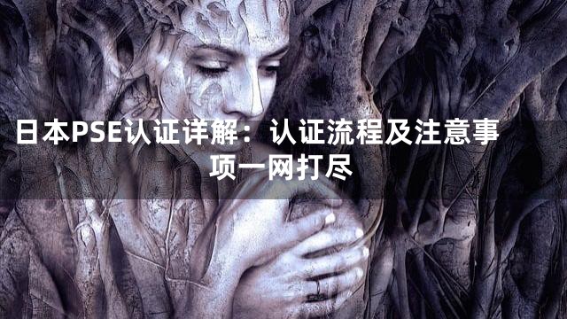 日本PSE认证详解：认证流程及注意事项一网打尽