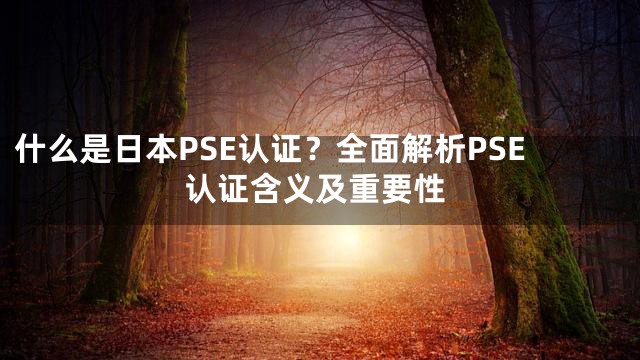 什么是日本PSE认证？全面解析PSE认证含义及重要性