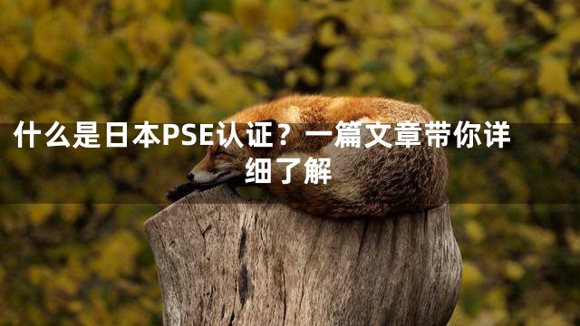 什么是日本PSE认证？一篇文章带你详细了解