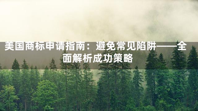 美国商标申请指南：避免常见陷阱——全面解析成功策略
