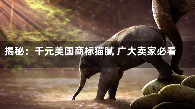 揭秘：千元美国商标猫腻 广大卖家必看
