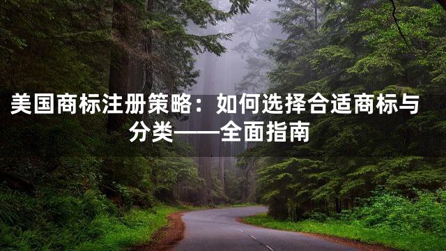 美国商标注册策略：如何选择合适商标与分类——全面指南