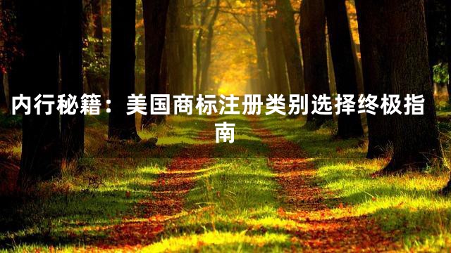 内行秘籍：美国商标注册类别选择终极指南