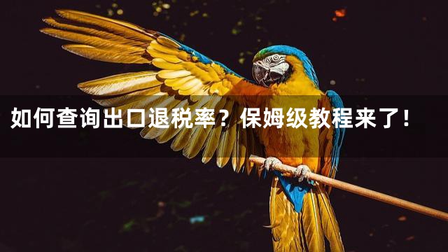 如何查询出口退税率？保姆级教程来了！