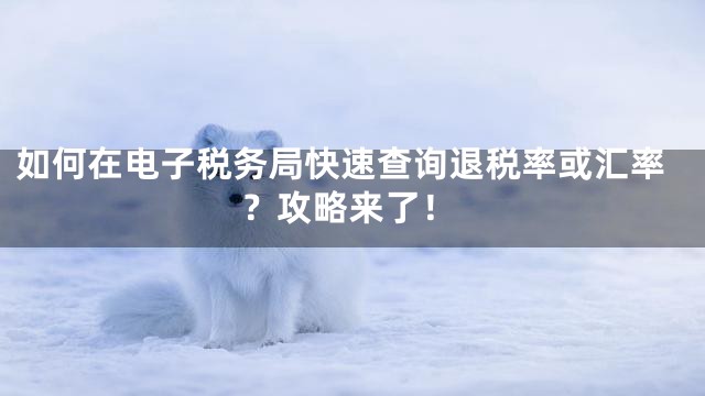 如何在电子税务局快速查询退税率或汇率？攻略来了！