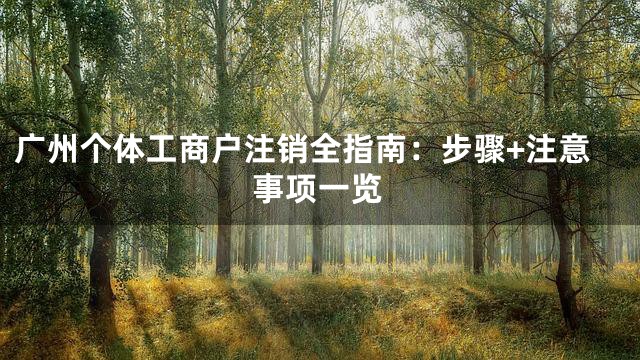 广州个体工商户注销全指南：步骤+注意事项一览