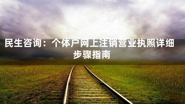 民生咨询：个体户网上注销营业执照详细步骤指南