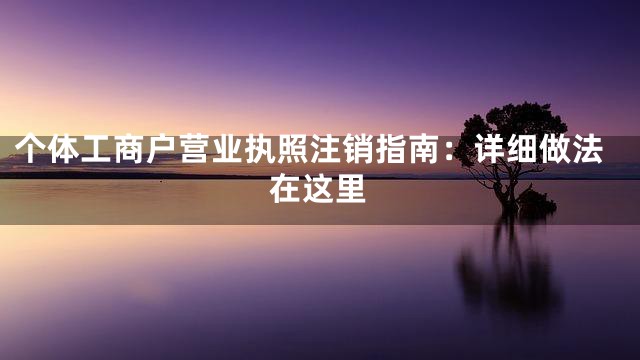 个体工商户营业执照注销指南：详细做法在这里