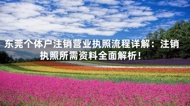 东莞个体户注销营业执照流程详解：注销执照所需资料全面解析！