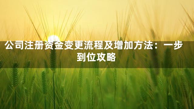 公司注册资金变更流程及增加方法：一步到位攻略
