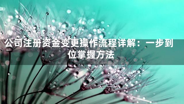 公司注册资金变更操作流程详解：一步到位掌握方法