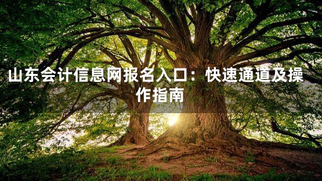 山东会计信息网报名入口：快速通道及操作指南