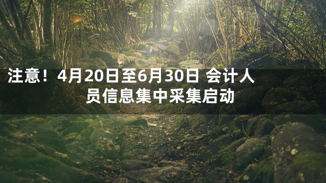 注意！4月20日至6月30日 会计人员信息集中采集启动