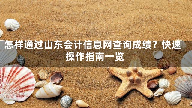 怎样通过山东会计信息网查询成绩？快速操作指南一览