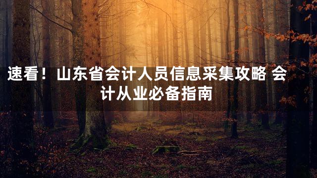 速看！山东省会计人员信息采集攻略 会计从业必备指南