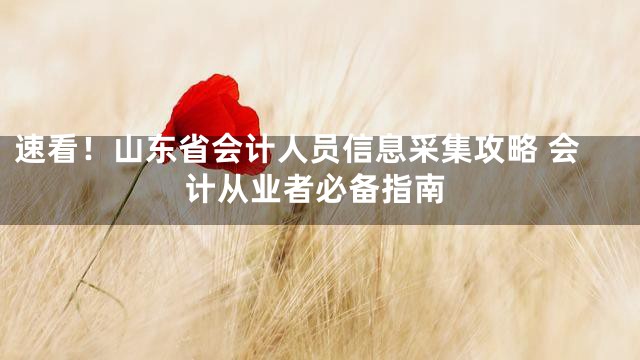 速看！山东省会计人员信息采集攻略 会计从业者必备指南