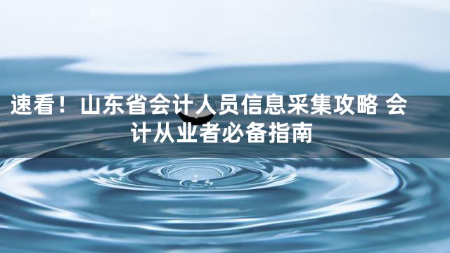 速看！山东省会计人员信息采集攻略 会计从业者必备指南