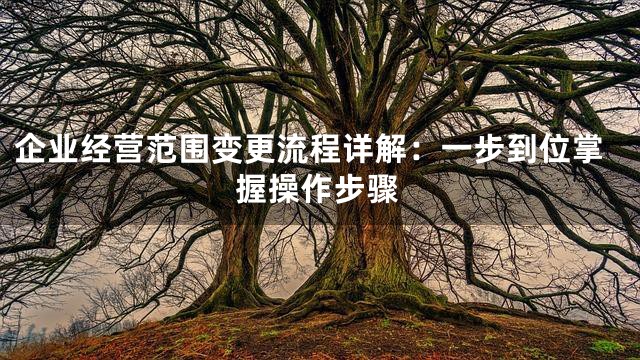企业经营范围变更流程详解：一步到位掌握操作步骤