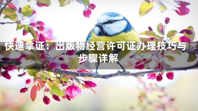 快速拿证：出版物经营许可证办理技巧与步骤详解