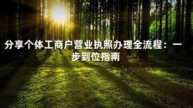 分享个体工商户营业执照办理全流程：一步到位指南