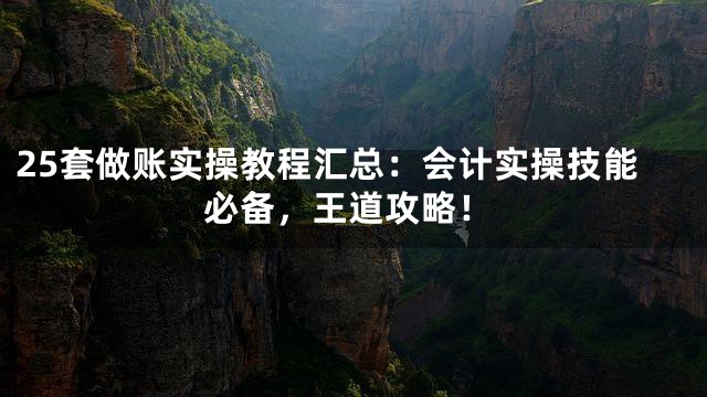 25套做账实操教程汇总：会计实操技能必备，王道攻略！