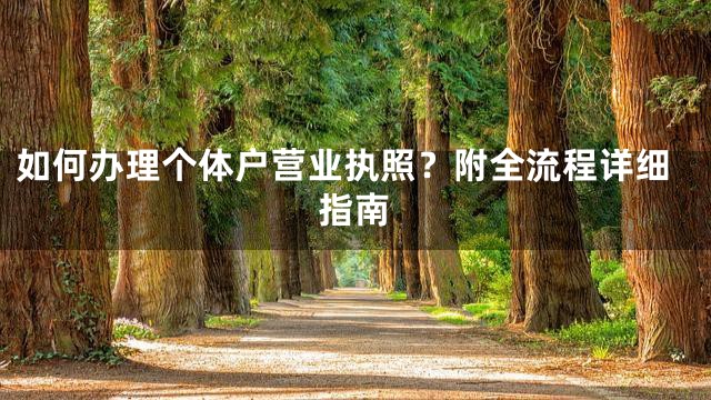 如何办理个体户营业执照？附全流程详细指南
