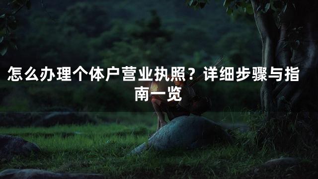 怎么办理个体户营业执照？详细步骤与指南一览