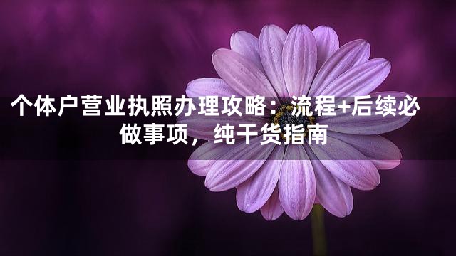 个体户营业执照办理攻略：流程+后续必做事项，纯干货指南