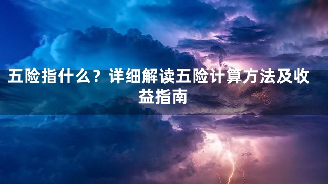 五险指什么？详细解读五险计算方法及收益指南