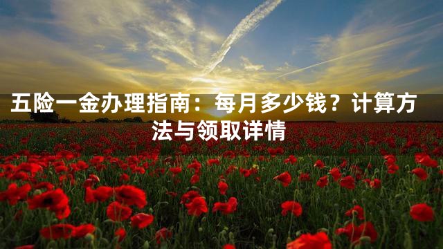 五险一金办理指南：每月多少钱？计算方法与领取详情