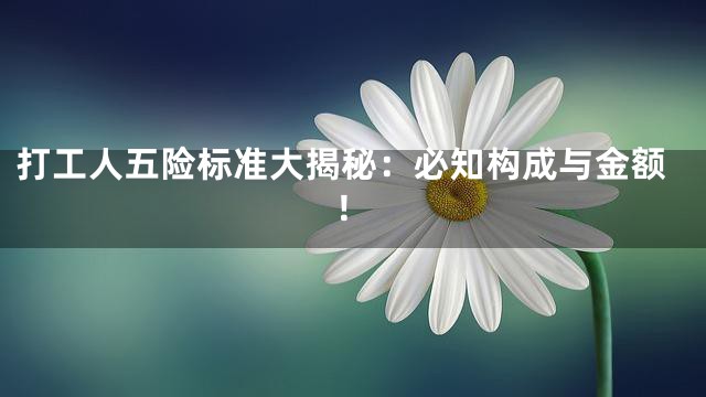 打工人五险标准大揭秘：必知构成与金额！