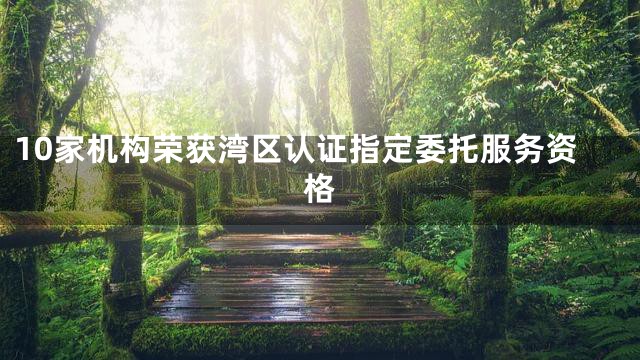 10家机构荣获湾区认证指定委托服务资格