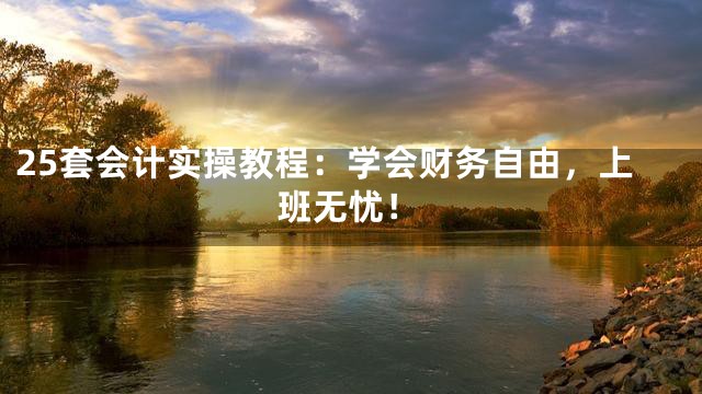 25套会计实操教程：学会财务自由，上班无忧！