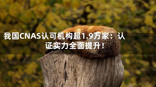我国CNAS认可机构超1.9万家：认证实力全面提升！