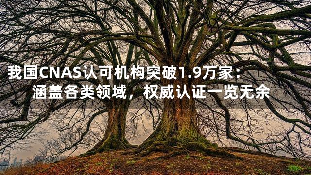 我国CNAS认可机构突破1.9万家：涵盖各类领域，权威认证一览无余